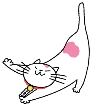 猫のアイコン